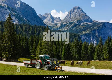 La récolte par tracteur rouge vert alpin autrichien dans les champs de la montagne avec des nuages sur sky Banque D'Images