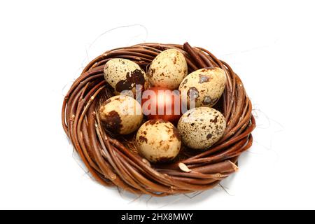 Nicher avec des œufs de Pâques sur fond blanc Banque D'Images