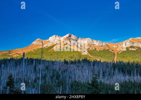 Belianske Tatras en automne, Slovaquie, Europe. Banque D'Images