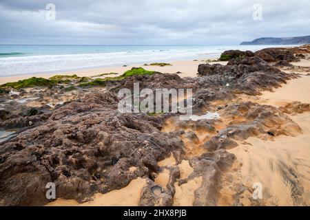 Plage de Porto Santo, archipel de Madère, Portugal. Pierres côtières humides avec algues vertes Banque D'Images