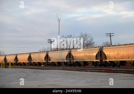 Elgin, Illinois, États-Unis. Un train de marchandises du chemin de fer canadien Pacifique se dirige vers l'ouest vers le soleil couchant lors de son trajet de Chicago à l'Iowa. Banque D'Images