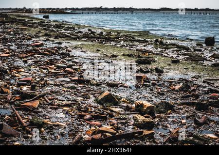 Les ordures et les os d'époque couvraient la plage de Dead Horse Bay à long Island Banque D'Images