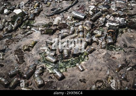 Bouteilles millésimes et autres ordures lavées sur le rivage de la baie de cheval mort Banque D'Images