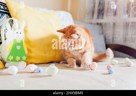 Chat au gingembre mignon jouant avec des œufs de Pâques à la maison. Animal de compagnie s'amusant sur le canapé par lapin de Pâques. Symbole vacances de printemps. Animal aidant avec la décoration Banque D'Images