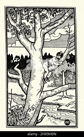 Illustration vintage du troisième voyage de Sinbad le Sailor, dormir dans un arbre. Joseph Benwell Clark Banque D'Images