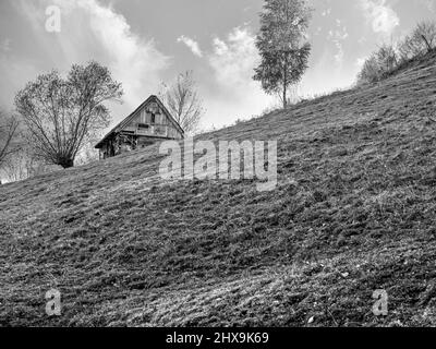 Paysage rustique avec une ancienne maison en bois abandonnée ou un abri dans les montagnes Carpathain, Roumanie. Photographie monochrome ancienne. Banque D'Images