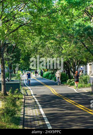 West Side Bicycle Lanes, New York City, New York, États-Unis Banque D'Images