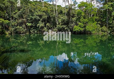 Forêt tropicale et lac à Minas Gerais, Brésil Banque D'Images