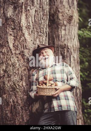 En pleine prolifération dans la forêt, grand-père chasse des champignons sur fond de forêt d'été. Champignons. Homme heureux tenant un champignon fraîchement cueilli. Banque D'Images