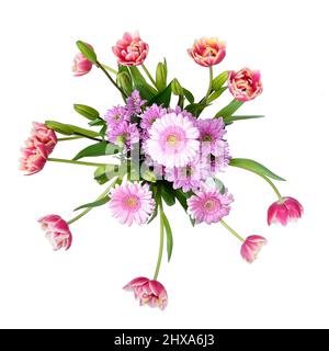 Composition avec de belles fleurs de tulipes et de fleurs de Barberton Daisy (Gerbera jamesonii) sur fond blanc, couleurs roses Banque D'Images