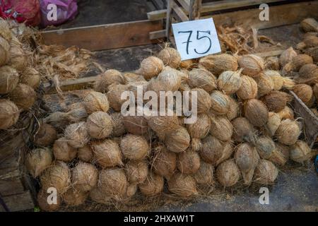 Noix de coco à vendre aux stands de fruits sur le marché de Kandy au Sri Lanka Banque D'Images