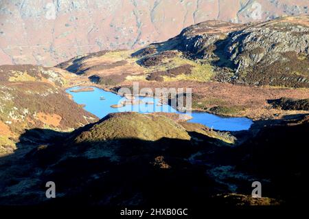 Icy Lingmoor Tarn du Wainwright 'Brown How' sur 'Lingmoor Fell', Langdale, Lake District National Park, Cumbria, Angleterre, Royaume-Uni. Banque D'Images