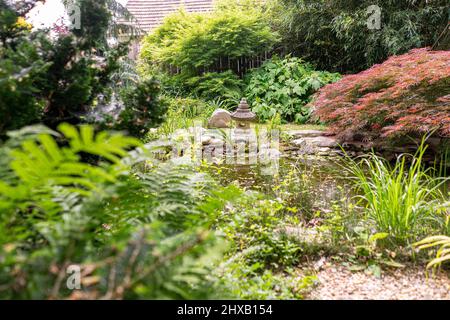 Petit étang dans un jardin de style japonais Banque D'Images