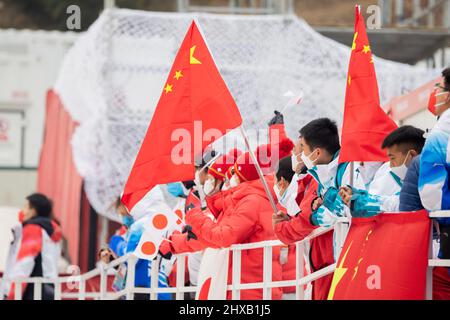 Pékin, Chine. 11th mars 2022. Paralympiques, ski alpin de Para, femmes, slalom géant, 2nd course au Centre national de ski alpin: Spectateurs de Chine. Credit: Christoph Soeder/dpa/Alay Live News Banque D'Images