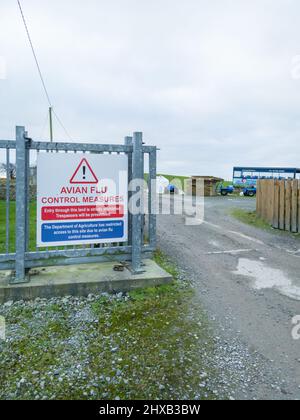 BALLYSHANNON , COMTÉ DE DONEGAL, IRLANDE : signe d'avertissement de la grippe aviaire. Banque D'Images