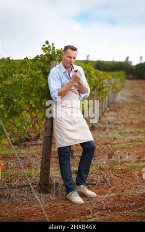 Faire une pause. Une cave à vin mature qui fait une pause et qui fume un tuyau dans le vignoble. Banque D'Images