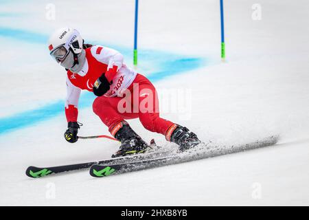 Pékin, Hebei, Chine. 11th mars 2022. Mengqiu Zhang en Chine sur le chemin d'une médaille d'or au slalom géant féminin, debout, Jeux paralympiques d'hiver de 2022 à Beijing, le 11 mars 2022. (Credit image: © Mark Edward Harris/ZUMA Press Wire) Credit: ZUMA Press, Inc./Alamy Live News Banque D'Images