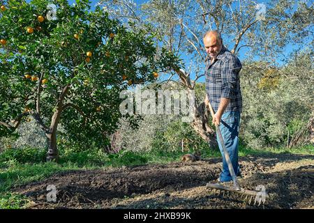 Le jardinier prépare le sol pour les semis de printemps. L'homme fait les sillons avec la houe ou le râteau dans le potager Banque D'Images