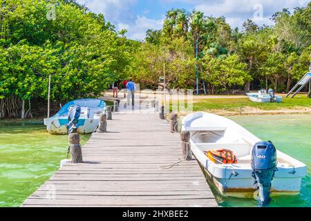 Muyil Mexique 02. Février 2022 vue panoramique sur le lagon de Muyil dans la forêt tropicale de la jungle avec des bateaux gens dans le parc national de Sian Ka'an Mu Banque D'Images