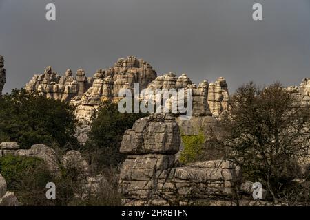 Die außergewöhnlichen Karstformationen im Naturschutzgebiet El Torcal BEI Antequera, Andalusien, Espagnol | impressionnant paysage karstique de l'El Tor Banque D'Images