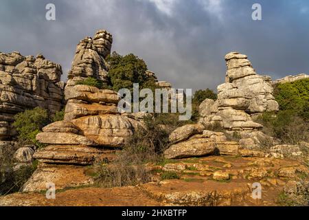 Die außergewöhnlichen Karstformationen im Naturschutzgebiet El Torcal BEI Antequera, Andalusien, Espagnol | impressionnant paysage karstique de l'El Tor Banque D'Images