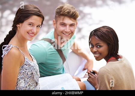 Étudier ensemble améliore notre révision d'examen. Un groupe d'étudiants qui révisent les étapes de leur campus. Banque D'Images