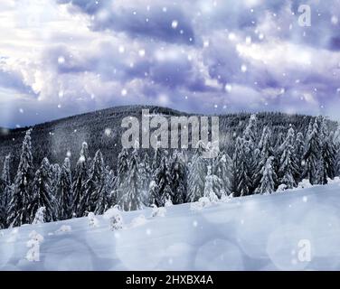 Paysage hivernal enneigé dans le parc national de Sumava, vue sur le mont Mustek depuis le sommet de la montagne Pancir, République tchèque. Banque D'Images