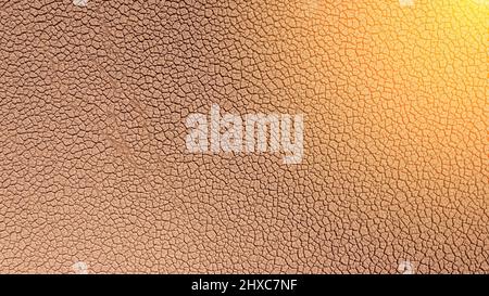 Les étés secs et chauds, le sol craqué, le sol sur le terrain avec quelques petites plantes vertes. Texture de la terre pendant la sécheresse. Soleil. Vue du dessus. Banque D'Images