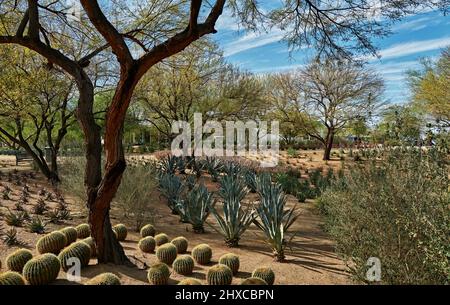 Sunnylands Estate. Sunnylands est apparu sur la scène mondiale lorsque le domaine historique a été achevé en 1966. Il a depuis accueilli huit présidents américains Banque D'Images