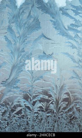 motif de glace sur le verre, magnifique motif d'hiver sur le verre Banque D'Images