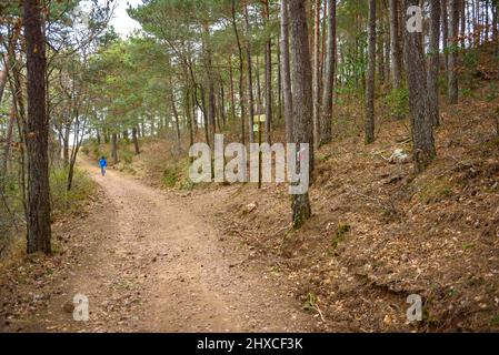 Signes indicateurs sur le chemin de Prades au sommet de Tossal de la Baltasana, dans les montagnes de Prades (Tarragone, Catalogne, Espagne) Banque D'Images