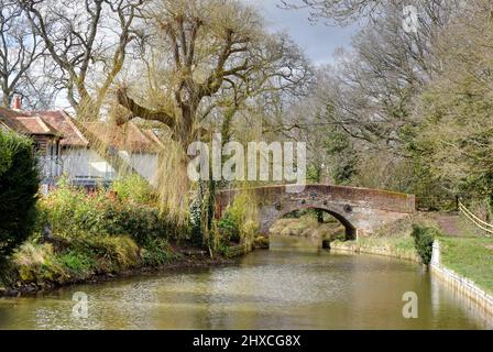 Un beau vieux pont le long du canal de Basingstoke à Dogmersfield dans le Hampshire Banque D'Images