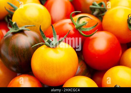 Tomates cocktail colorées isolées sur fond blanc Banque D'Images