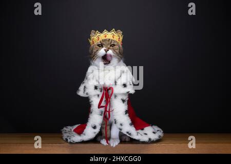 mignon chat affamé portant le costume royal de roi avec couronne licking lèvres regardant l'appareil photo sur fond noir avec l'espace de copie Banque D'Images