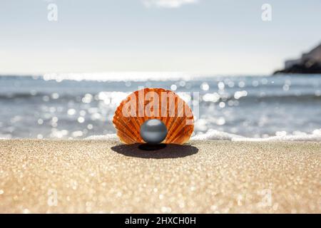 Pétoncle avec perle sur la plage avec mer en arrière-plan Banque D'Images