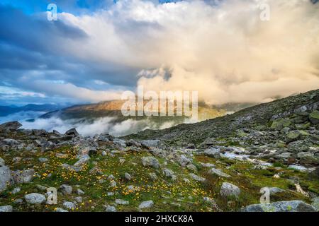 Ambiance nocturne dans le paysage de montagne alpin au col de Furka. Fleurs, pierre et roche sous un paysage de nuages spectaculaires. Alpes d'Uri, Suisse, Europe Banque D'Images