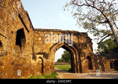 Ruines au fort de Firoz Shah Kotla à New Delhi, qui était la citadelle de Firoz Shah Tughlaq, le dirigeant du Sultanat de Delhi en 1351-88. Banque D'Images