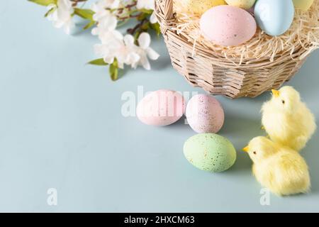 Composition de Pâques avec œufs pastel, panier en osier, poussin jaune, fleurs printanières pour des vacances et des fêtes joyeuses. Gros plan. Carte de vœux. Banque D'Images