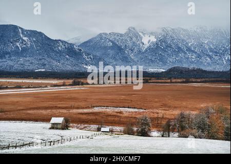 Paysage en haute-Bavière, contreforts des Alpes, Murnauer Moos, Murnau am Staffelsee, haute lande dans le Lange Filze en face de la chaîne de montagnes des Alpes avec Rolischsee, avec 32 km carrés la plus grande zone contiguë de lande proche-naturelle en Europe centrale Banque D'Images