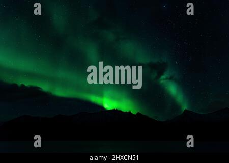 Aurores boréales ou Aurora Borealis dansent sur le paysage du fjord, Banque D'Images