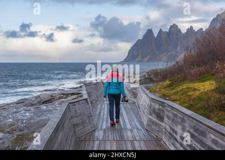 Impressions d'automne de l'île norvégienne Senja au-dessus du cercle arctique, Scandinavie et Norvège pure, vue de la chaîne de montagnes Okshornan ou Devil's Teeth, Ersfjord, point de vue Tungeneset, femme marchant sur une passerelle en bois, caméra à la main, vue arrière, Banque D'Images