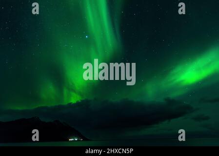 Aurores boréales ou Aurora Borealis dansent sur le paysage du fjord, Banque D'Images