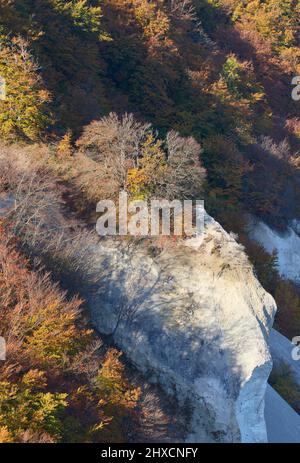 Europe, Danemark, Møn. Côte de craie et forêt de hêtres d'automne. Banque D'Images
