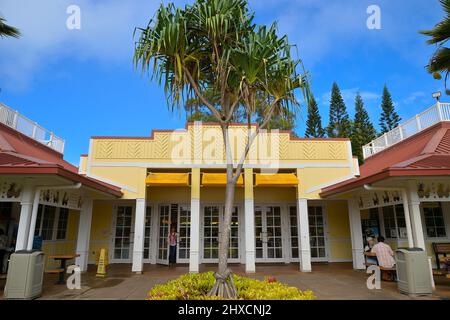 La plantation d'ananas historique de Dole plc dans le village de Wahiawa, Oahu HI Banque D'Images