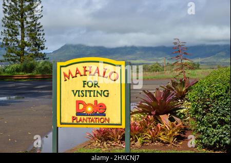 La plantation d'ananas historique de Dole plc dans le village de Wahiawa, Oahu HI Banque D'Images