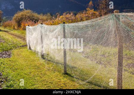 Filets de pêche séchant à Kochelsee, Schlehdorf, pays de Tölzer, haute-Bavière, Bavière, Allemagne du Sud, Allemagne, Europe Banque D'Images