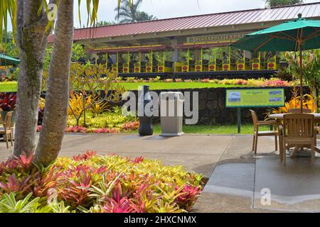 La plantation d'ananas historique de Dole plc dans le village de Wahiawa, Oahu HI Banque D'Images