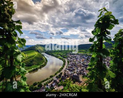 Vue profonde sur la Moselle au Bremmer Calmont Banque D'Images