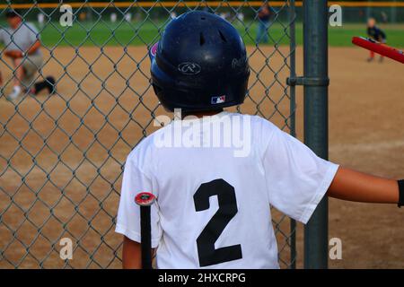 Apprécier le baseball des jeunes Banque D'Images