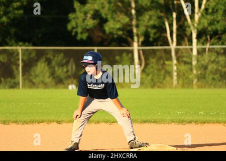 Apprécier le baseball des jeunes Banque D'Images